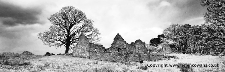 Blaewearie House cropped