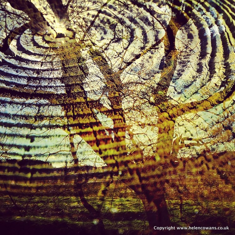 2017-03-21 15.33.57-5